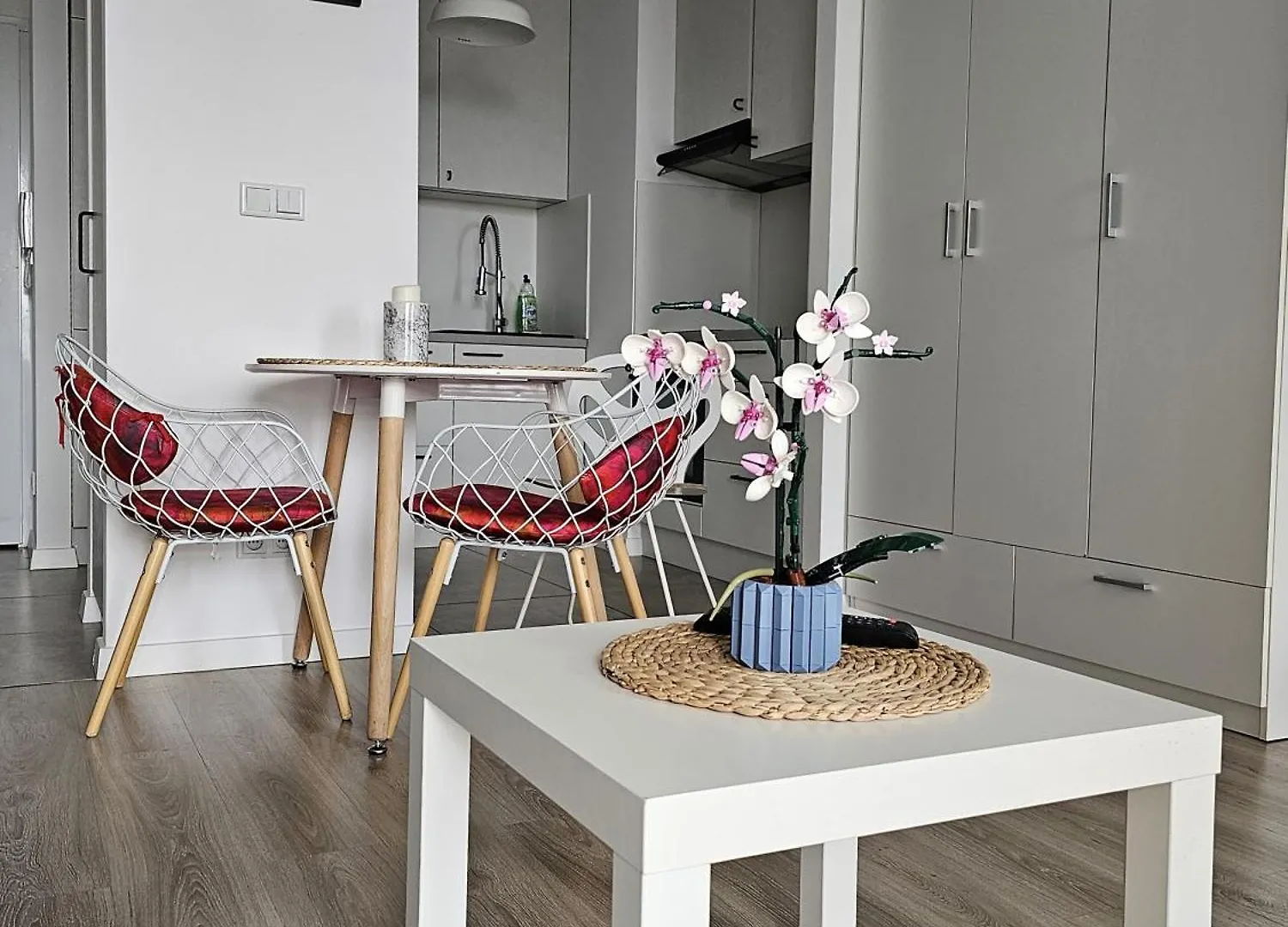 Studio Pieskowa Skala Apartment Warsaw